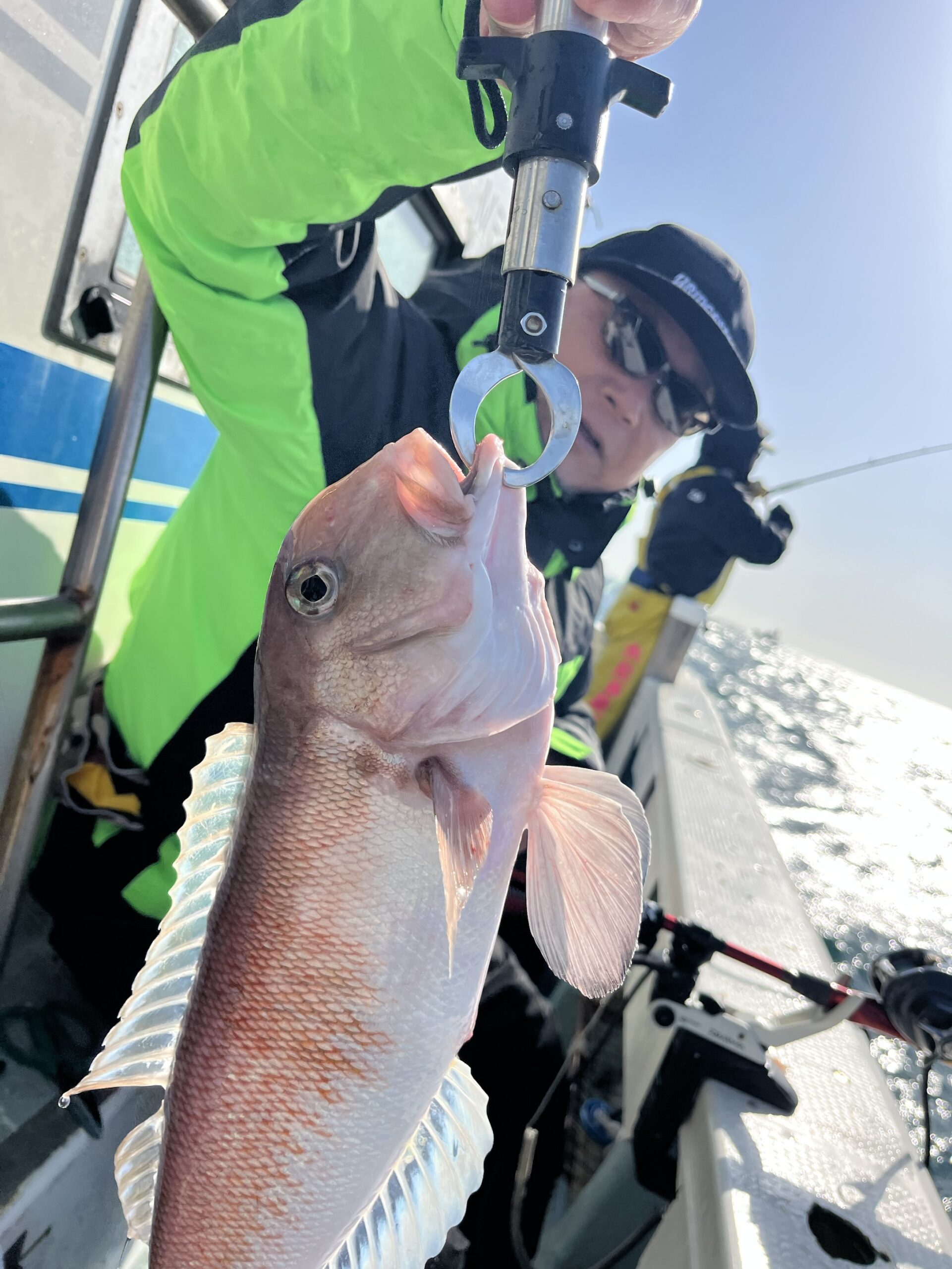 29(日)朝甘鯛🐠定員限定。昼泳がせ🐟 – 鳥羽の釣船日誠丸公式サイト